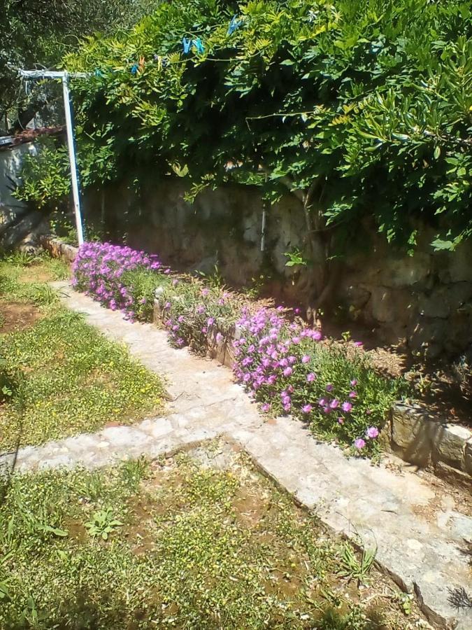 Apartman-Maja-Krk كرك المظهر الخارجي الصورة